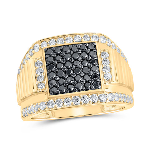 10kt Yellow Gold Mens Round Black Color Enhanced Diamond Square Ring 1-5/8 Cttw